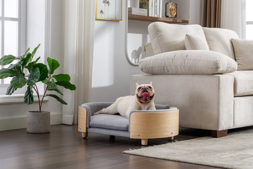 Scandinavian Style Elevated Dog Bed Pet Sofa Velvet Cushion Mid Size Light Grey