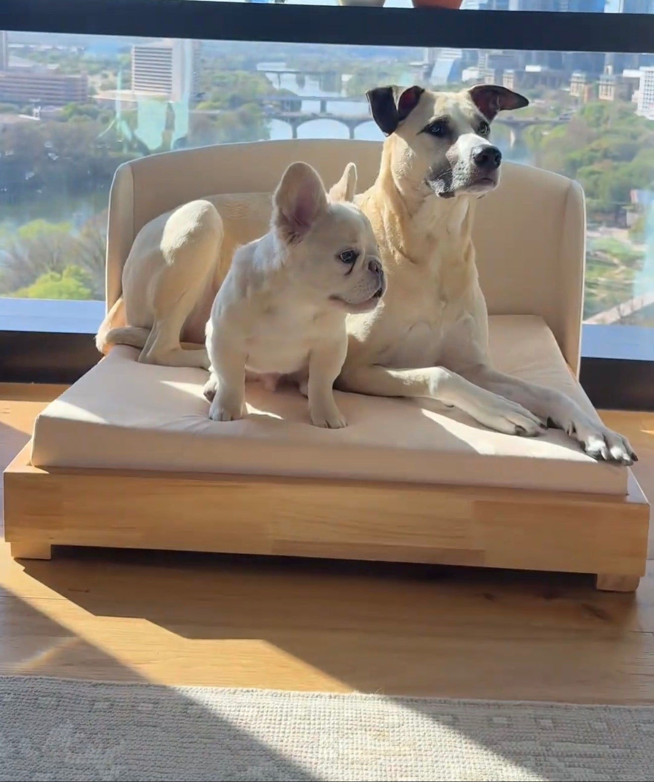 The Haven — Luxury Handcrafted Dog Bed | Solid Wood, Orthopedic, Waterproof lined