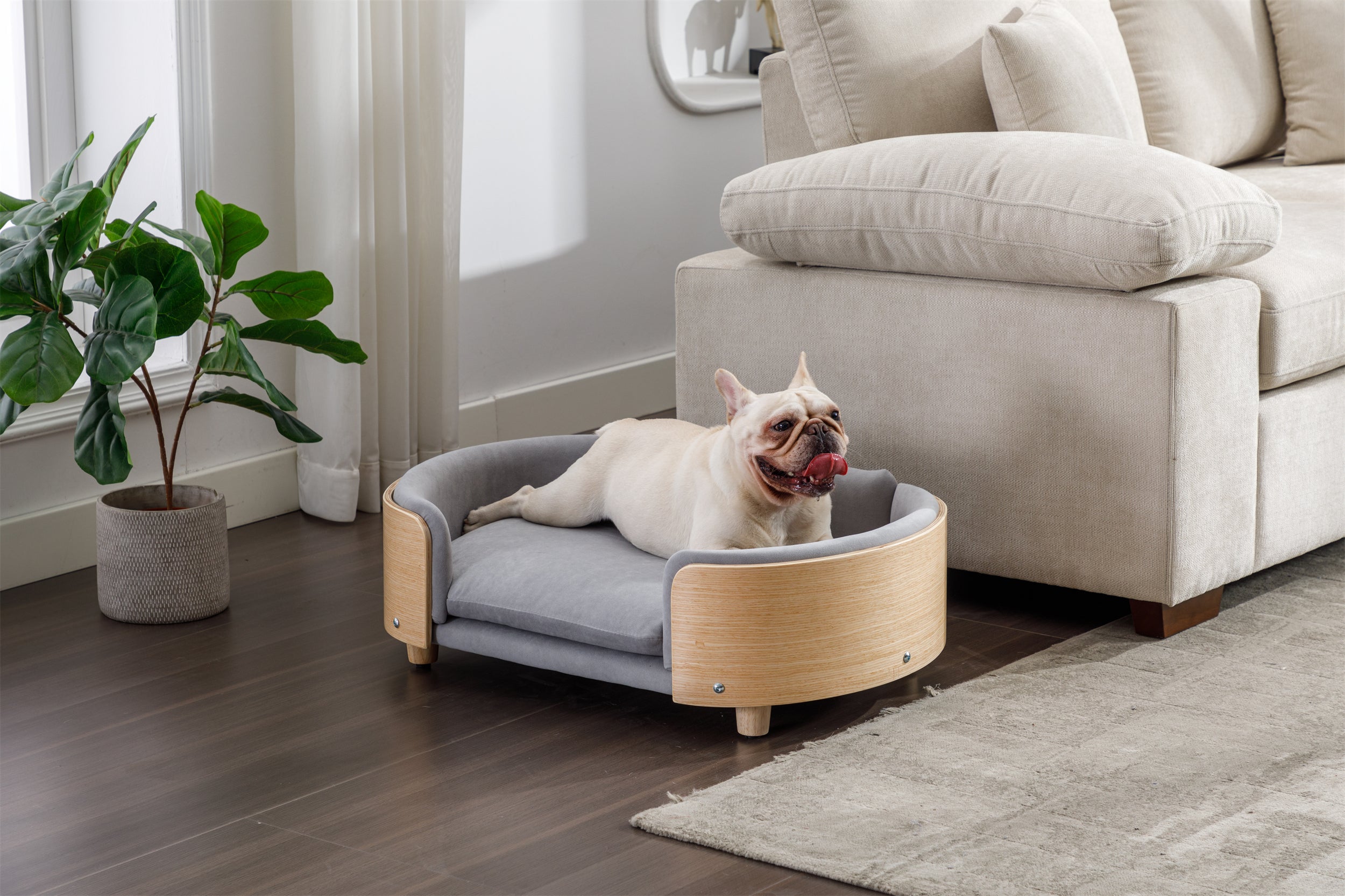 Scandinavian Style Elevated Dog Bed Pet Sofa Velvet Cushion Mid Size Light Grey