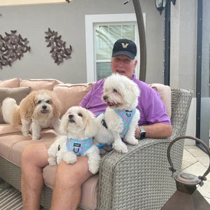 Flocktail Hour  - Adjustable Dog Harness
