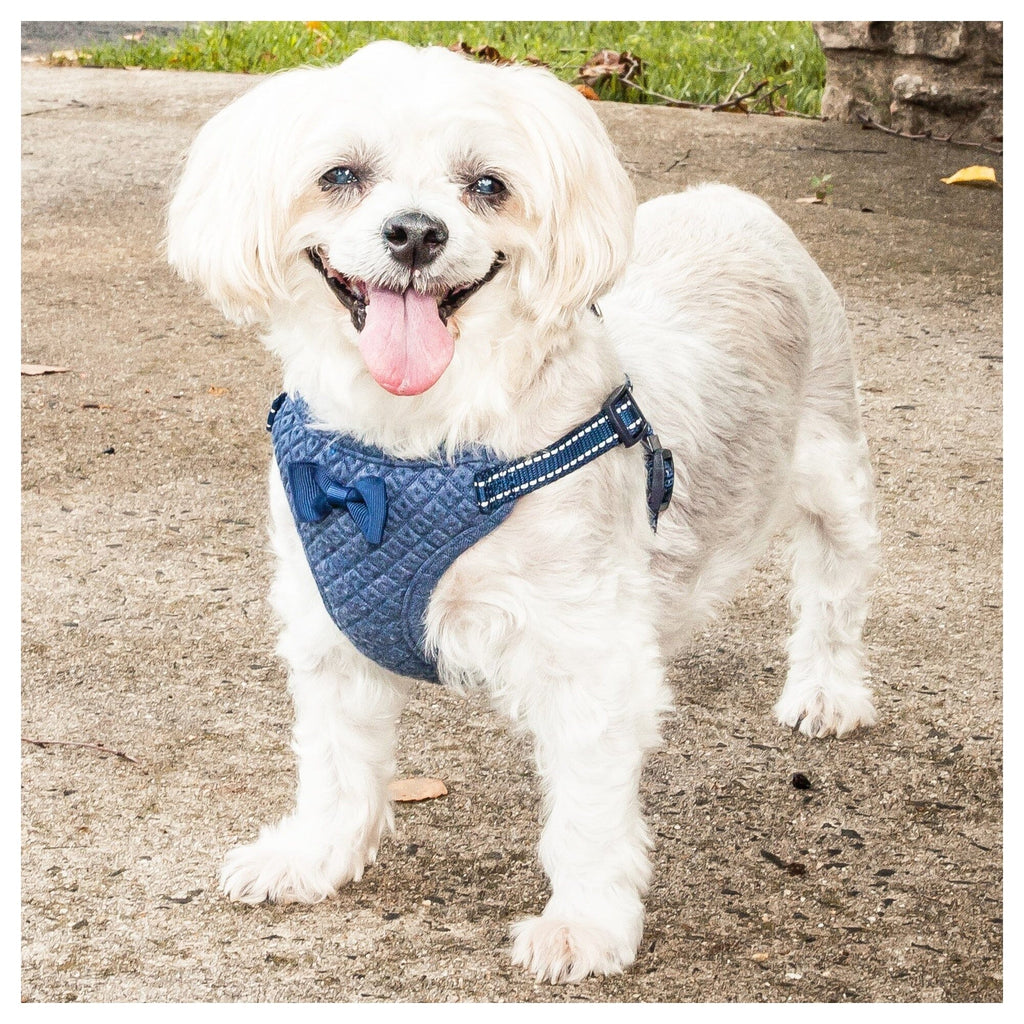 Pet Life ®  'Flam-Bowyant' Mesh Reversed and Adjustable Dog Harness